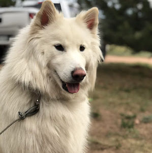 Meet your Posher, Hope